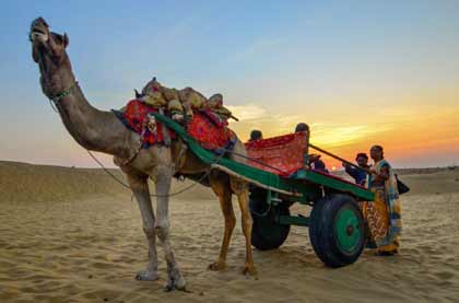 Family-Friendly Desert Experiences at Maru Vista