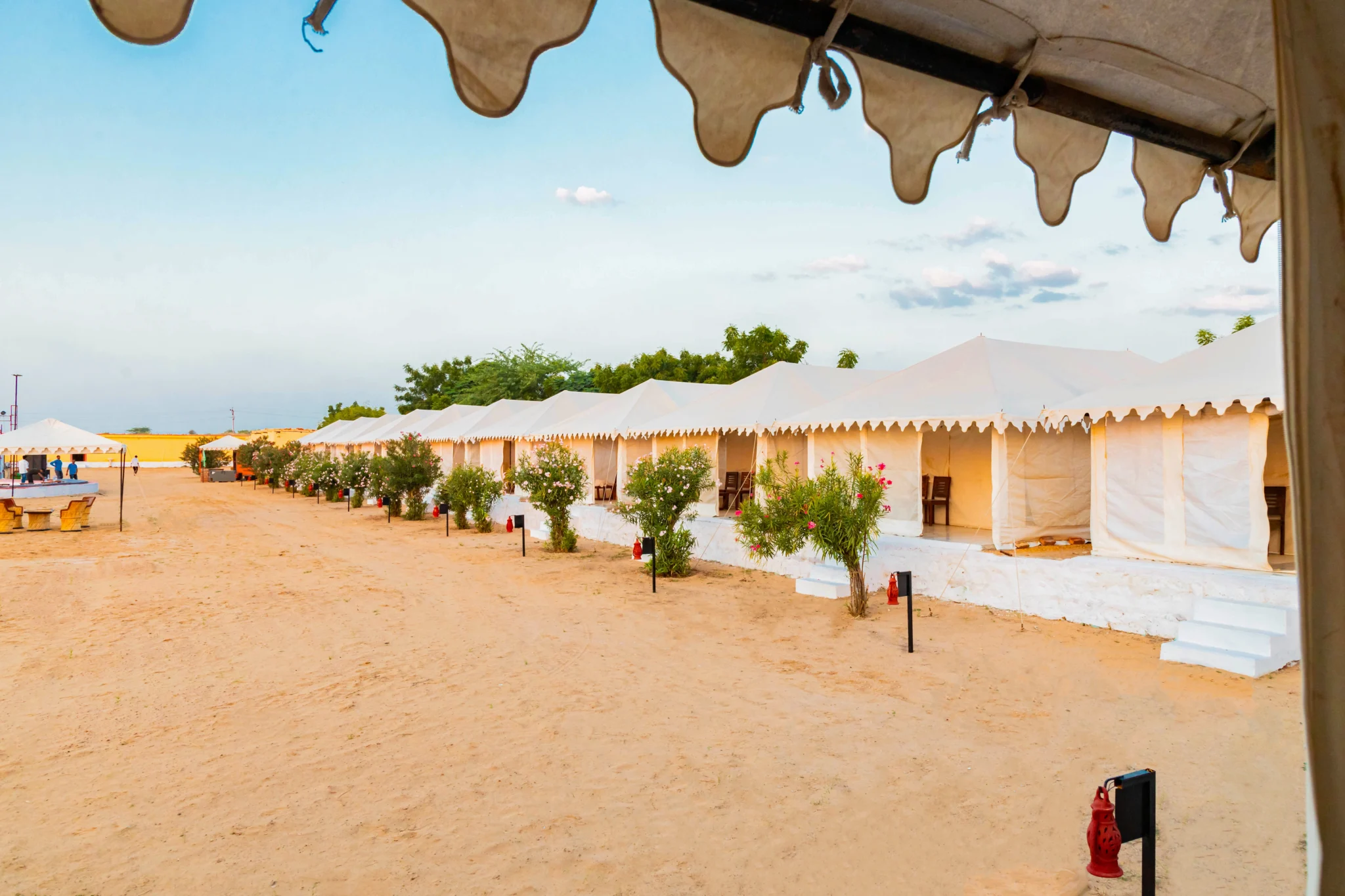 New Year Group Tour to Jaisalmer – Desert Camp, Safari & Celebration
